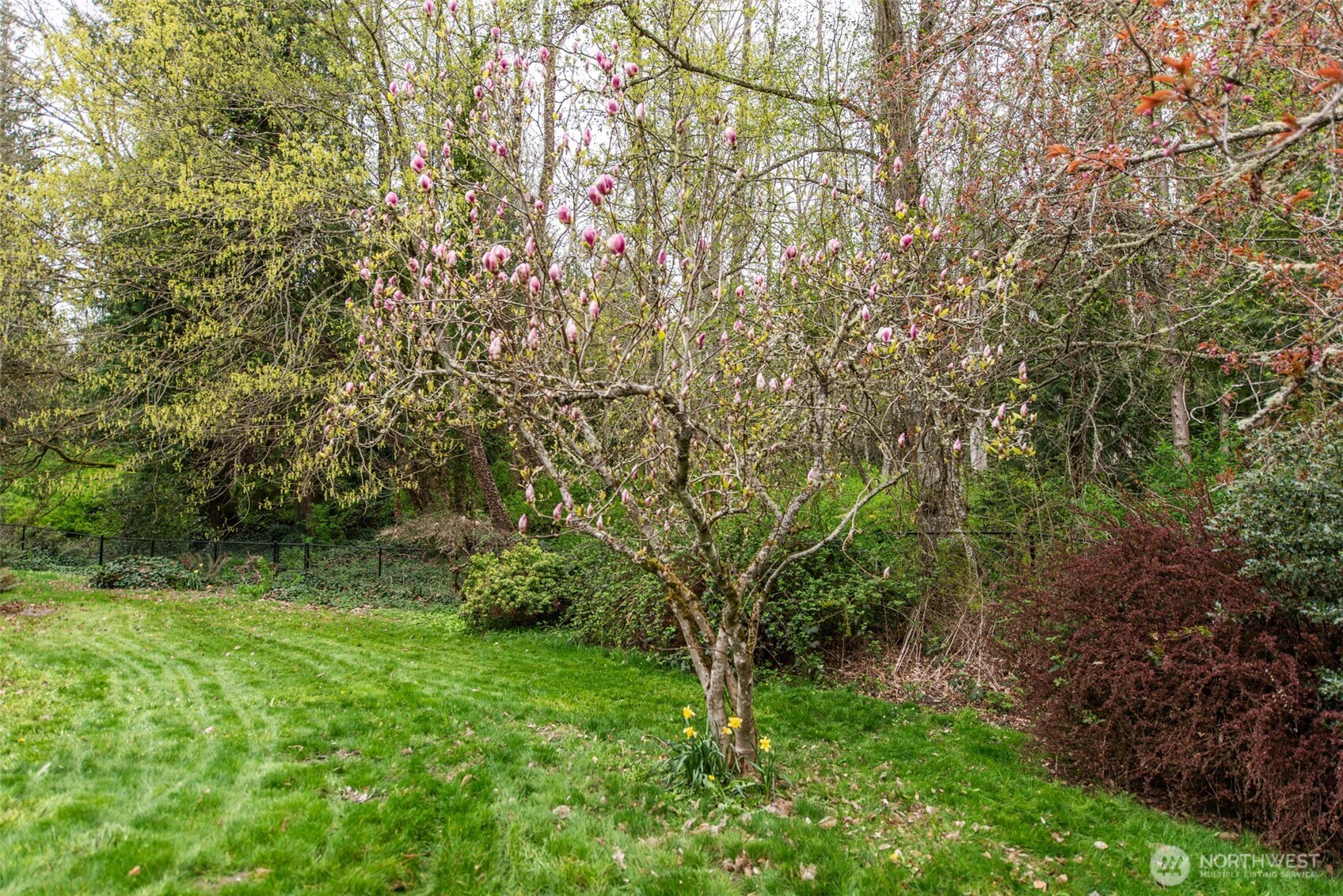 315 Dungeness Meadows Sequim, WA 98382 - Photo 32 of 36 a view of a lush green space