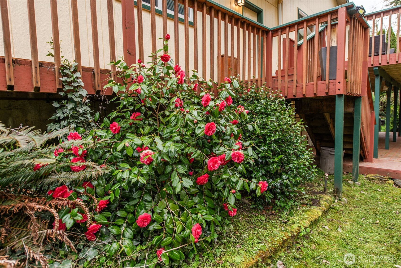 315 Dungeness Meadows Sequim, WA 98382 - Photo 35 of 36 a flower plants and flowers in front of yellow building