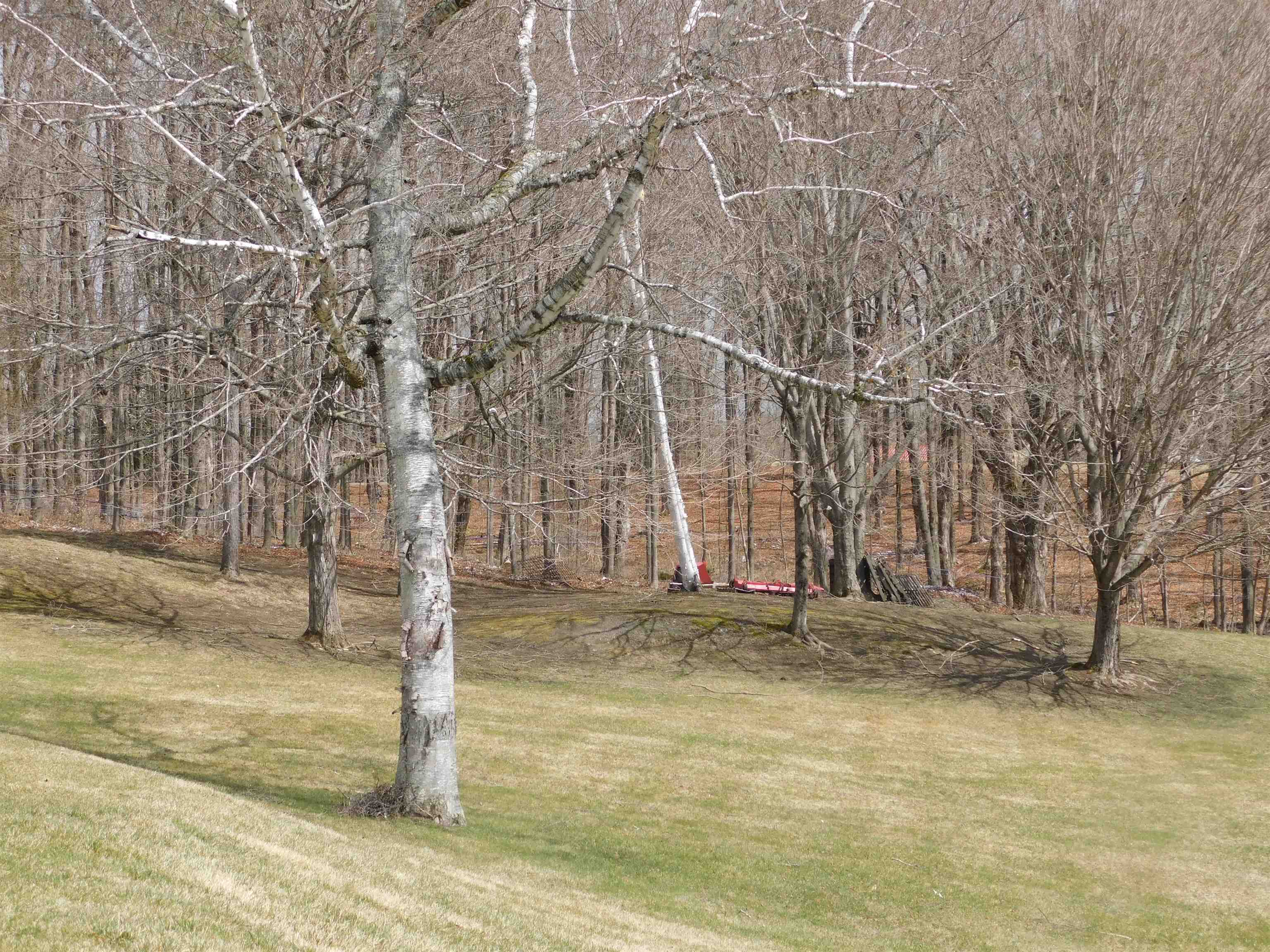 150 Barlow Road Springfield, VT 05156 - Photo 13 of 30