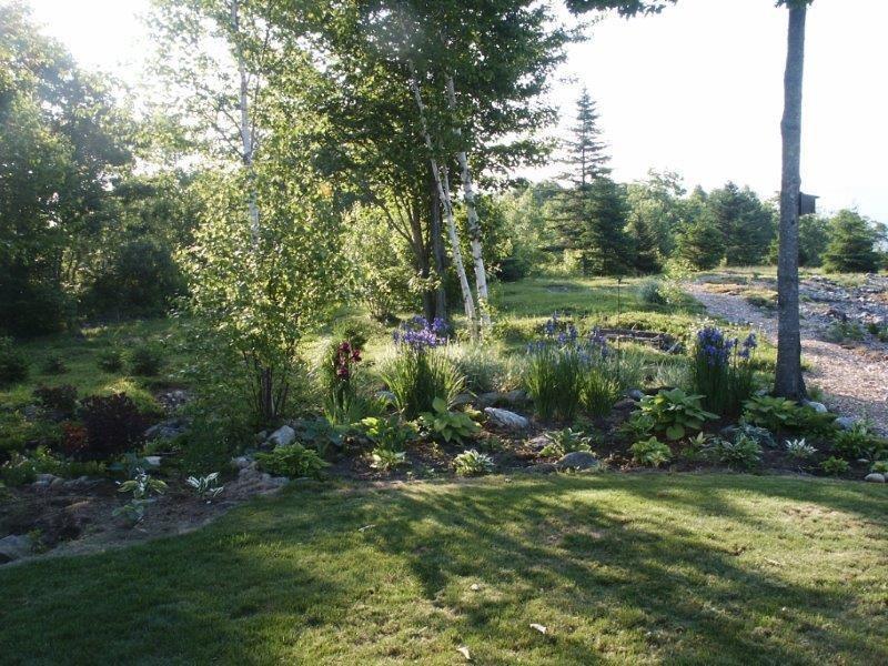 2755 Appleton Ridge Road Appleton, ME 04862 - Photo 32 of 35 Landscaping.