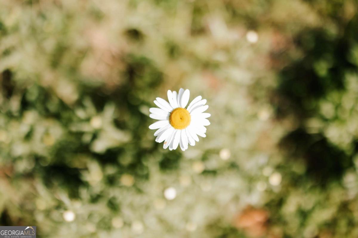 254 Fritz Mar Lane Athens, GA 30607 - Photo 11 of 11