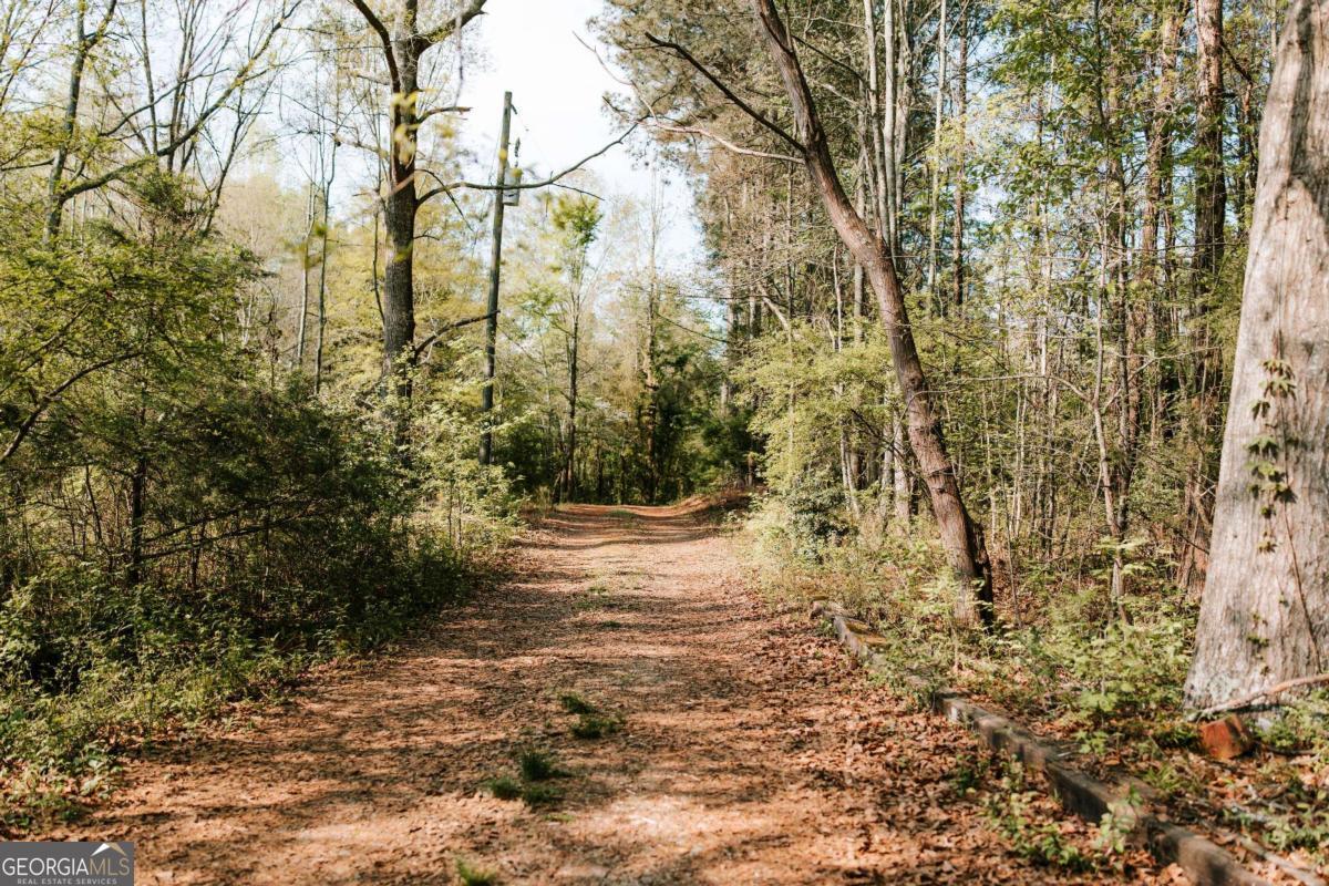 254 Fritz Mar Lane Athens, GA 30607 - Photo 4 of 11