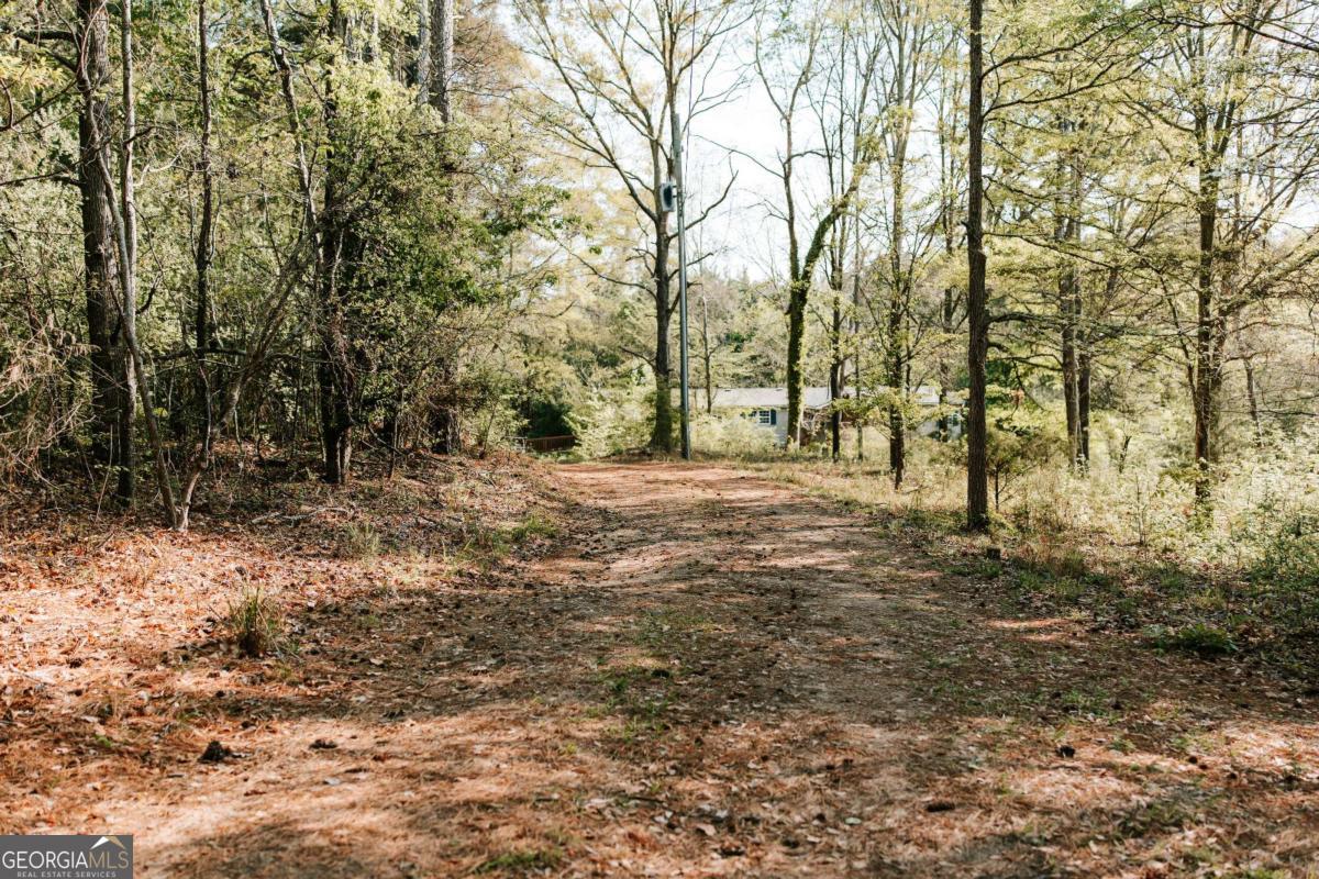 254 Fritz Mar Lane Athens, GA 30607 - Photo 5 of 11