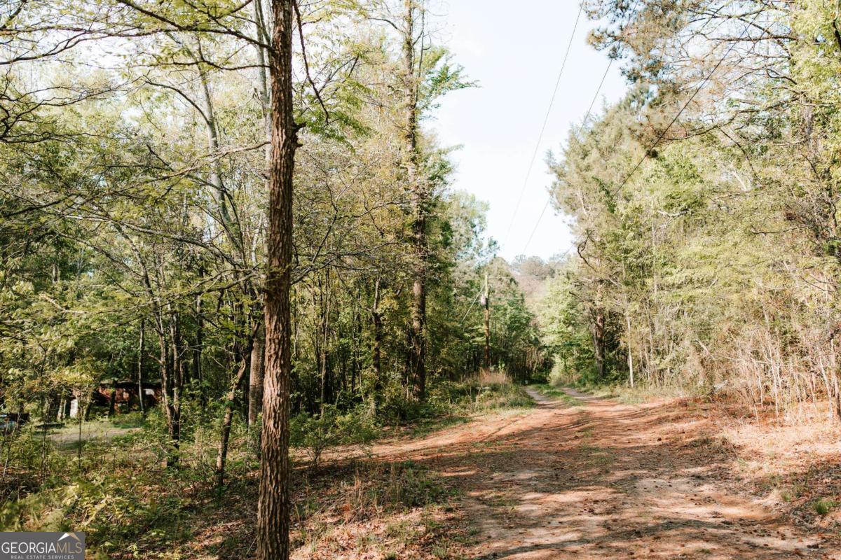 254 Fritz Mar Lane Athens, GA 30607 - Photo 6 of 11