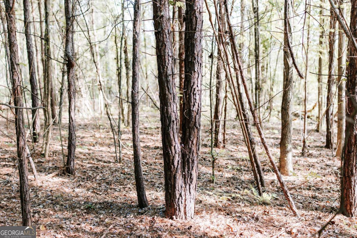 254 Fritz Mar Lane Athens, GA 30607 - Photo 7 of 11