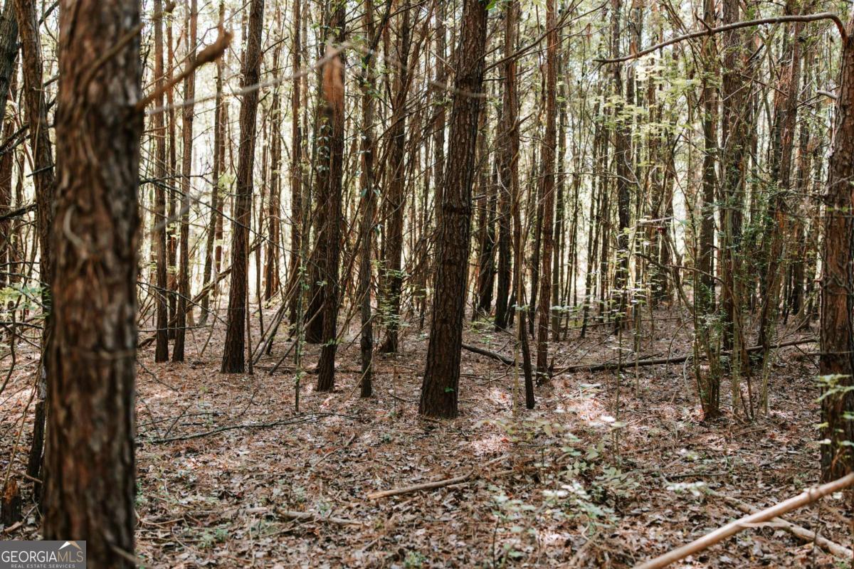 254 Fritz Mar Lane Athens, GA 30607 - Photo 8 of 11