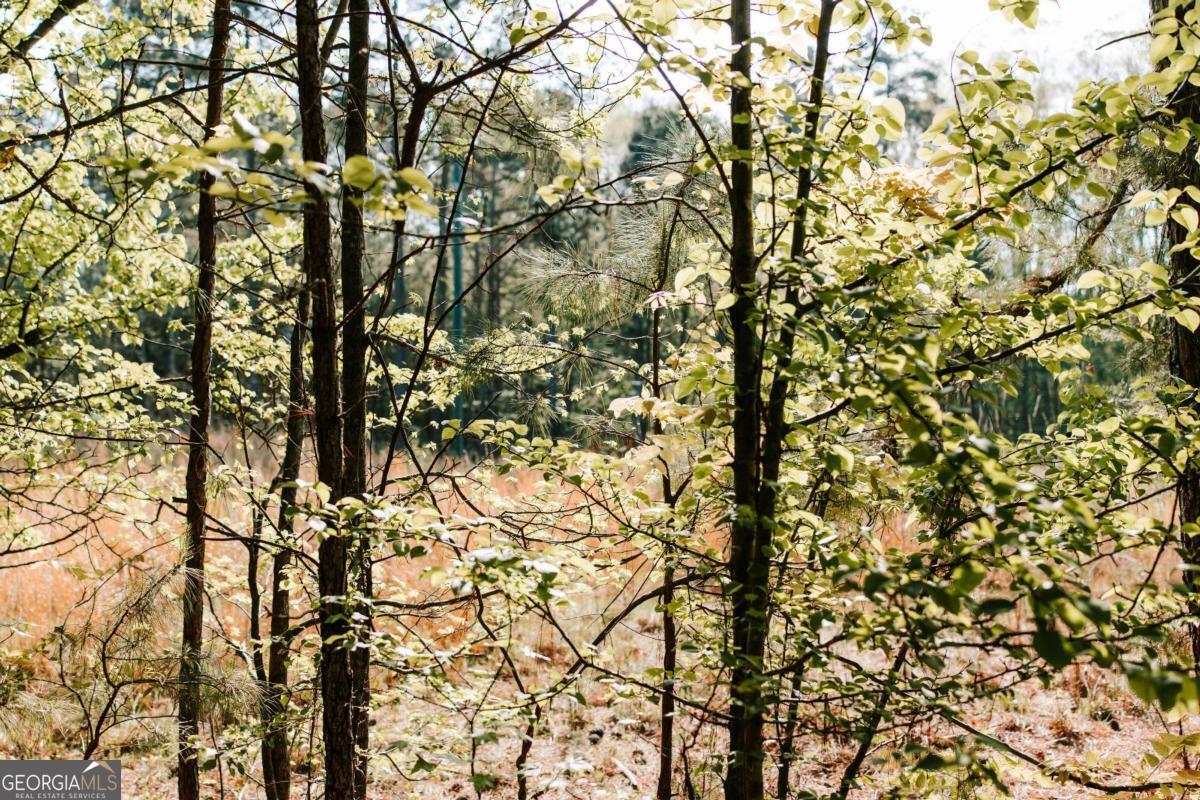 254 Fritz Mar Lane Athens, GA 30607 - Photo 9 of 11