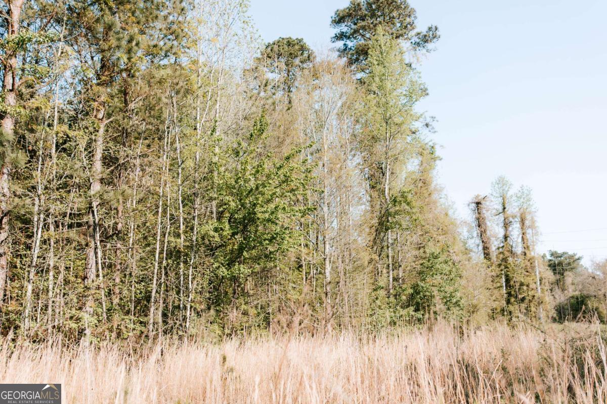 254 Fritz Mar Lane Athens, GA 30607 - Photo 10 of 11