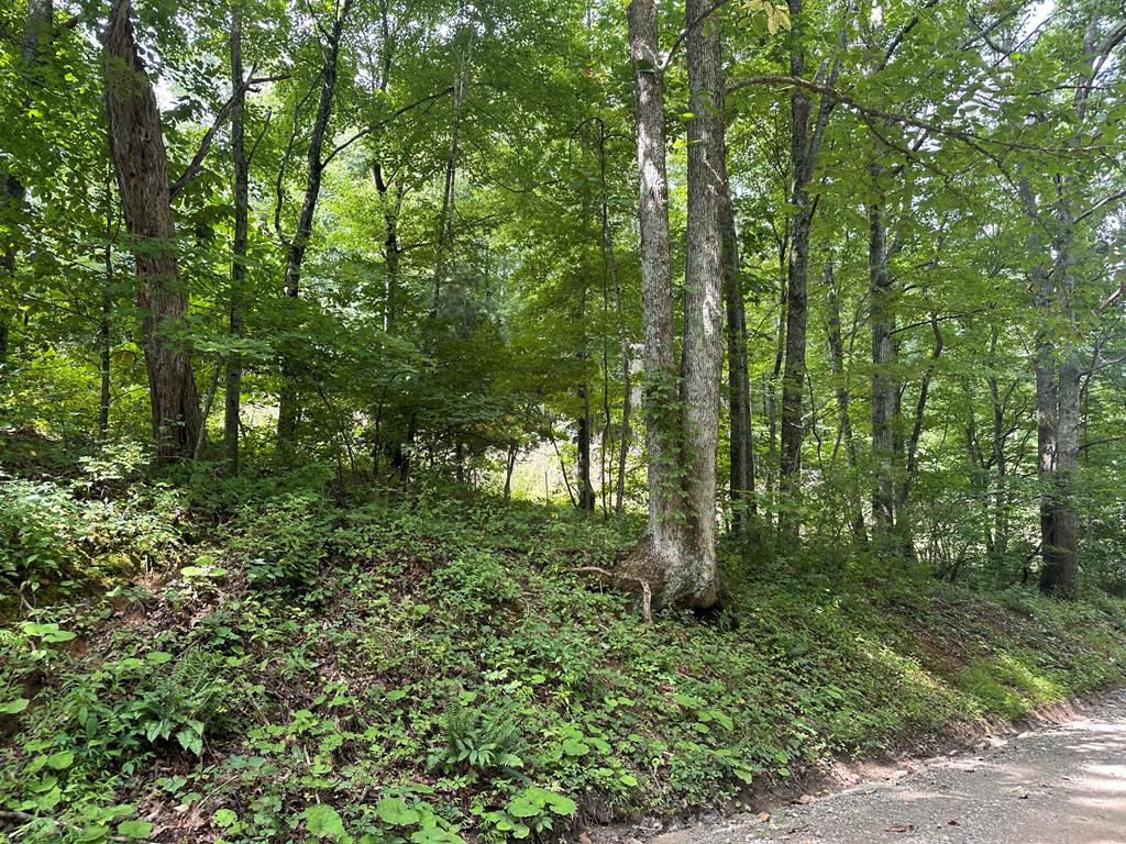931 Countyline Church Road Southeast Floyd, VA 24091 - Photo 28 of 29 Gallery Image 28