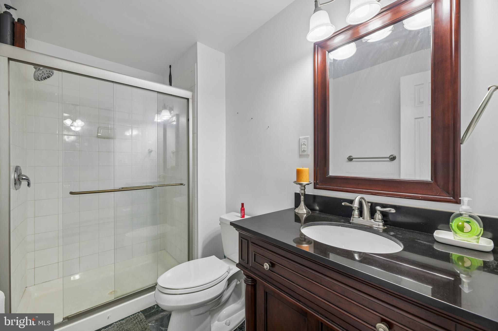 16116 Eckhart Road Bowie, MD 20716 - Photo 85 of 93 Basement Bathroom