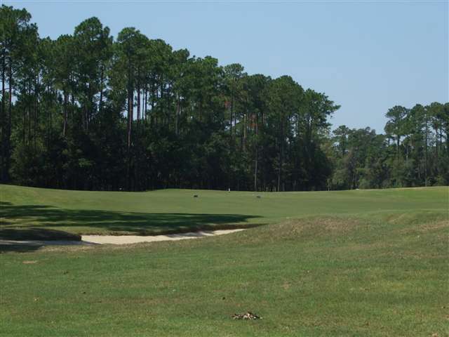 4490 Fringetree Drive Murrells Inlet, SC 29576 - Photo 13 of 15 Gallery Image 13