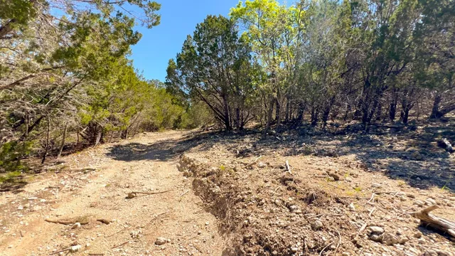 a view of yard with swimming pool and trees in the background