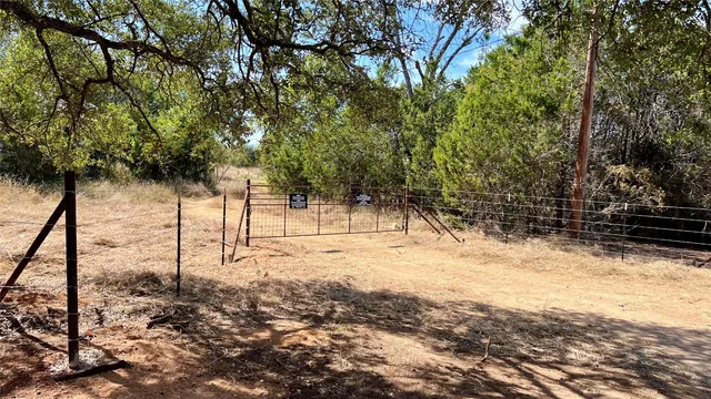 a view of a yard with trees
