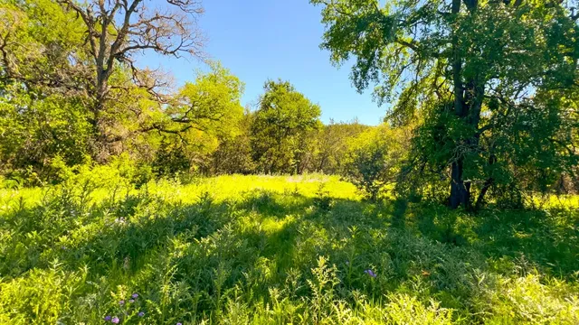 a view of a yard with a house in the background