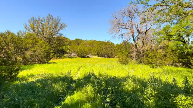 a view of outdoor space and yard