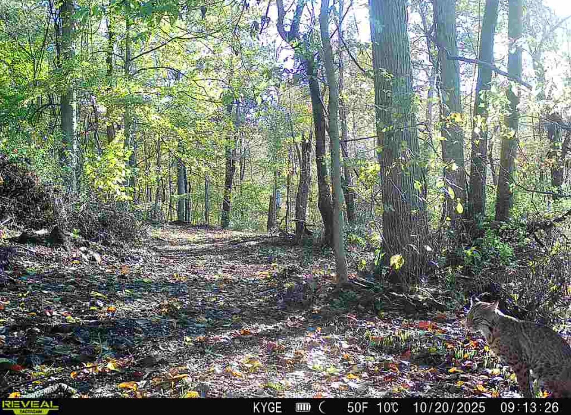 0 Little Kyger Road, Unit LITTLE KYGER TRACT 4) Cheshire, OH 45620 - Photo 8 of 28 CT-8