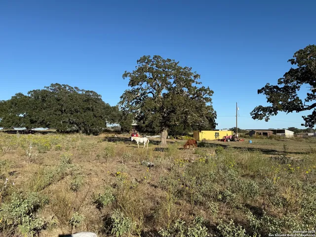 a view of a yard with wooden fence
