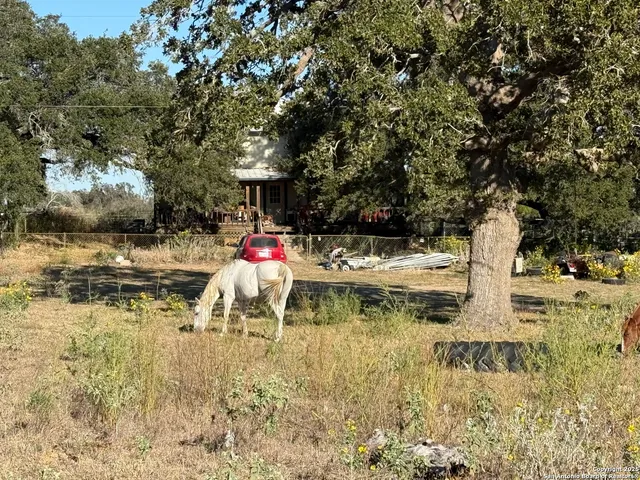 a view of a yard with wooden fence