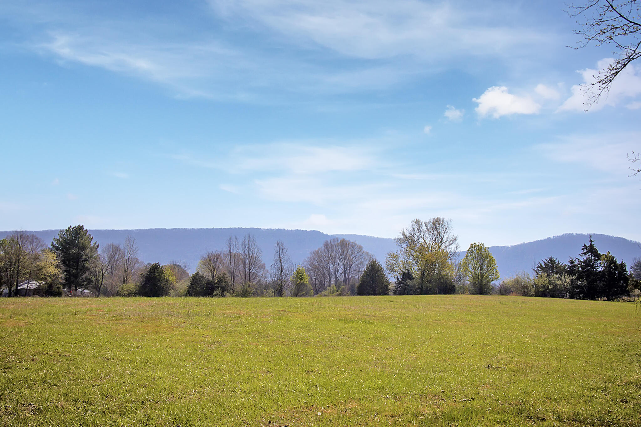 142 Bowater Road Delano, TN 37325 - Photo 44 of 49 20240420015621684297000000-o