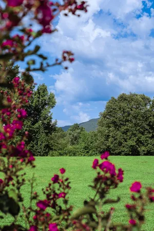 $1,200,000 | 142 Bowater Road, Delano, TN 37325