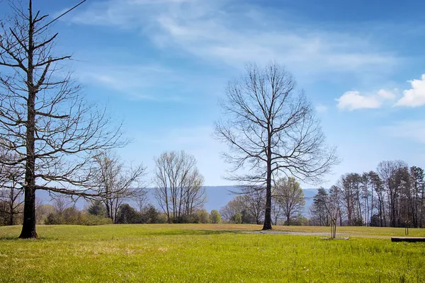 $1,200,000 | 142 Bowater Road, Delano, TN 37325