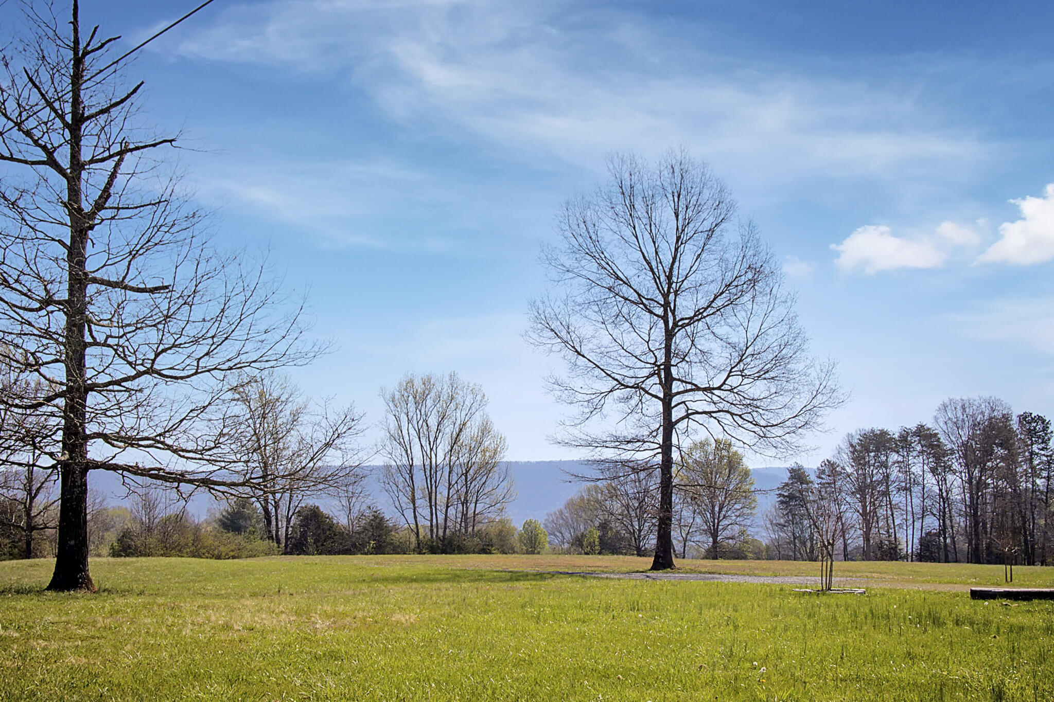 142 Bowater Road Delano, TN 37325 - Photo 47 of 49 20240420015716380434000000-o