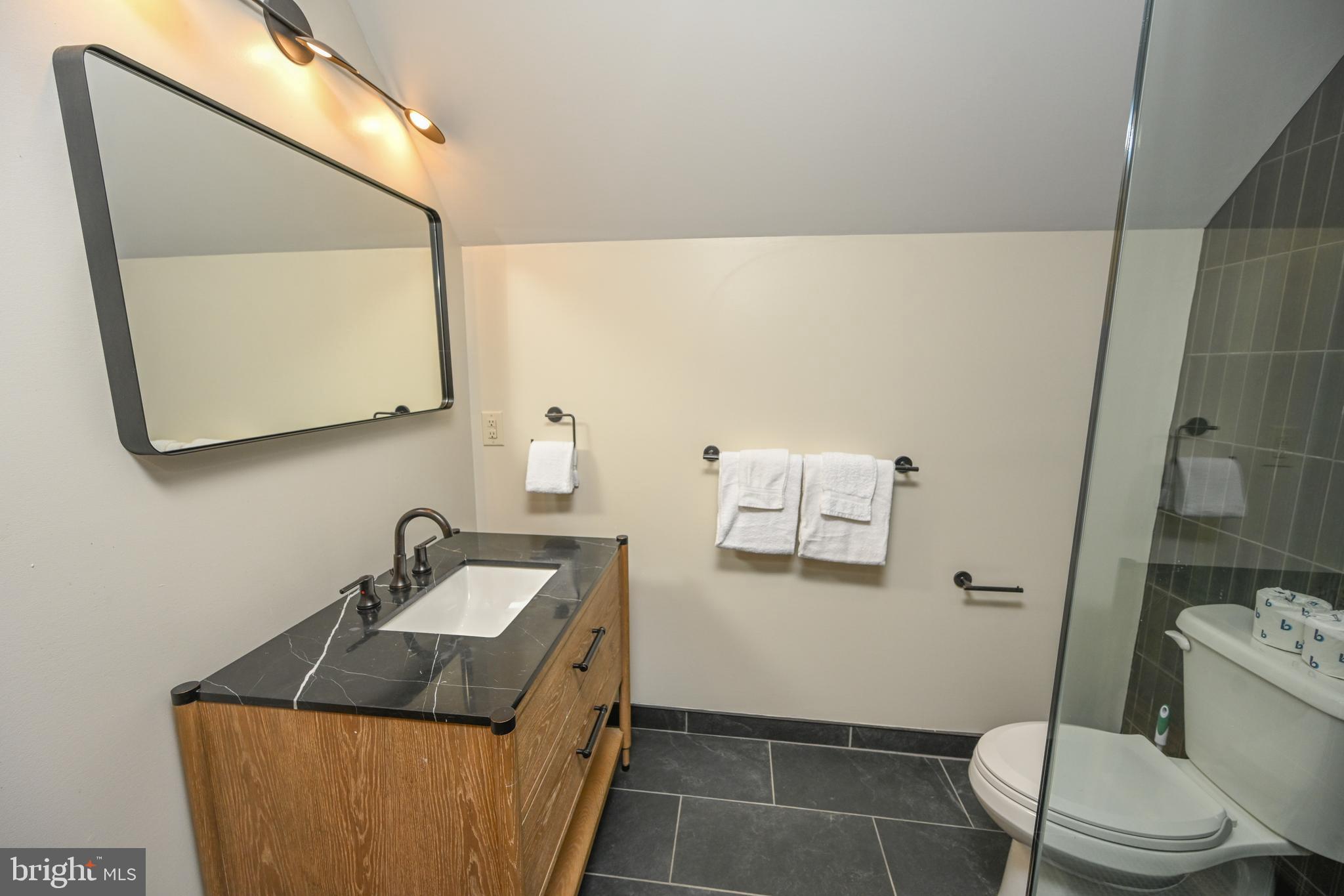 1067 North Camp Road McHenry, MD 21541 - Photo 31 of 81 Ensuite bathroom 1