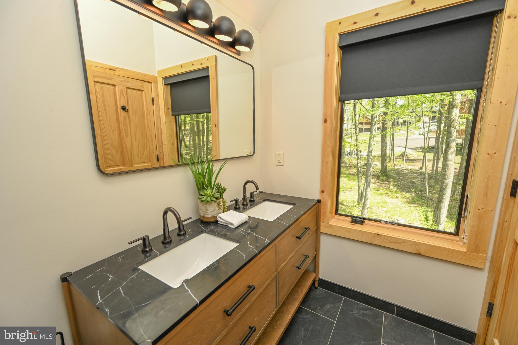 1067 North Camp Road McHenry, MD 21541 - Photo 36 of 81 a bathroom with a sink and a mirror