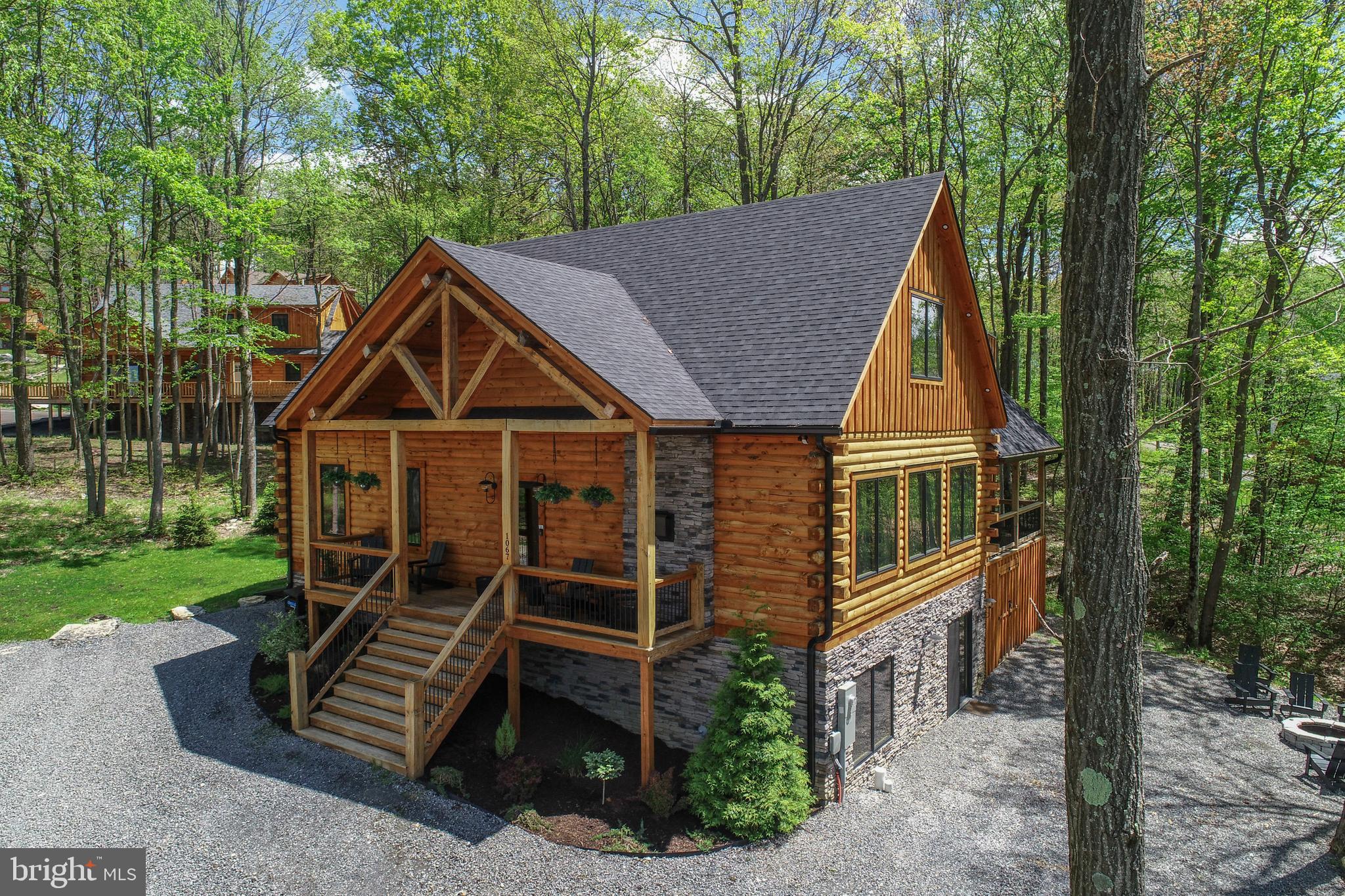 1067 North Camp Road McHenry, MD 21541 - Photo 4 of 81 Black Diamond Lodge