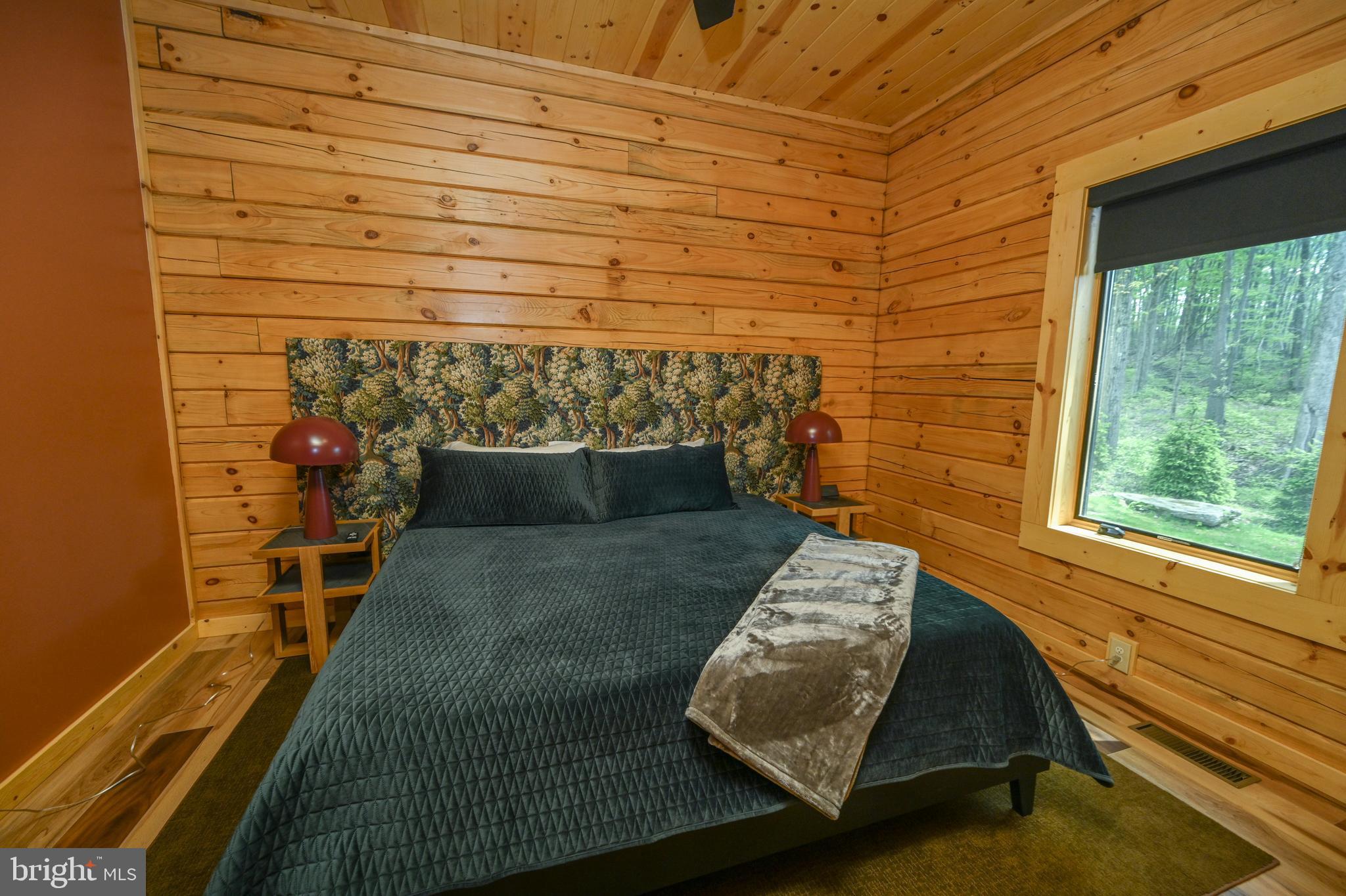 1067 North Camp Road McHenry, MD 21541 - Photo 46 of 81 Main level ensuite bedroom 4