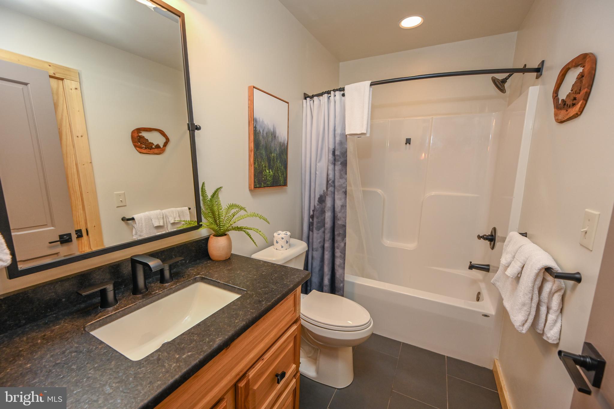 1067 North Camp Road McHenry, MD 21541 - Photo 69 of 81 a bathroom with a sink a toilet and shower
