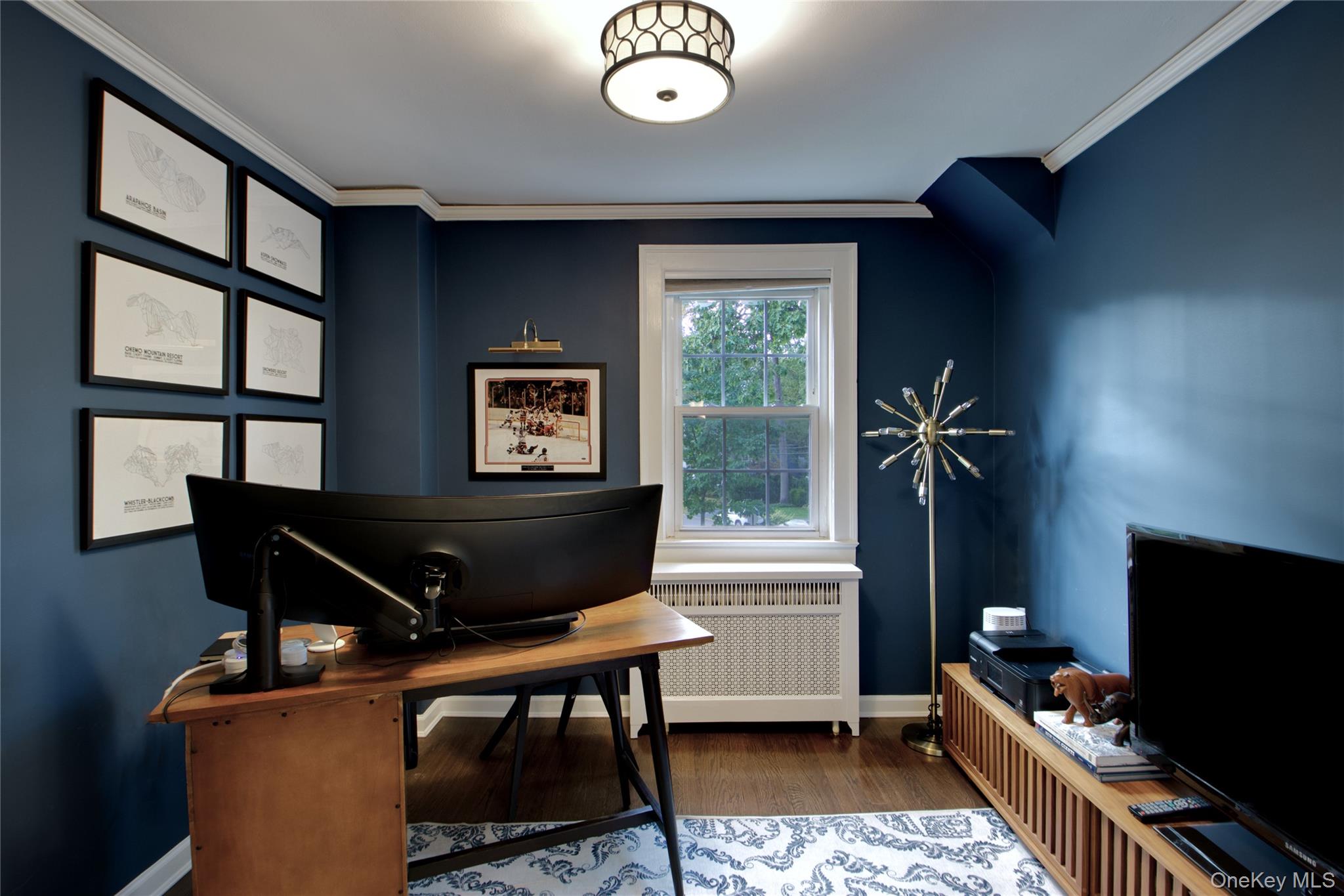 60 Thayer Road Manhasset, NY 11030 - Photo 24 of 28 a living room with a couch and a flat screen tv