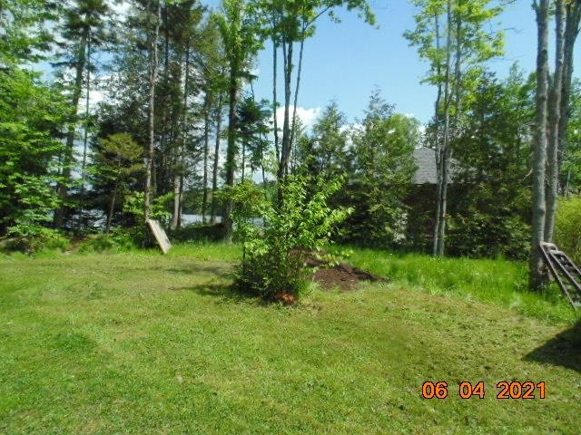 - Birch Point Road West Charleston, VT 05872 - Photo 10 of 10