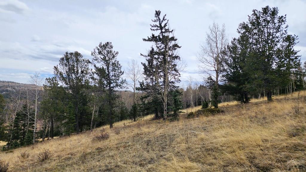 0 County Road Victor, CO 80860 - Photo 14 of 21