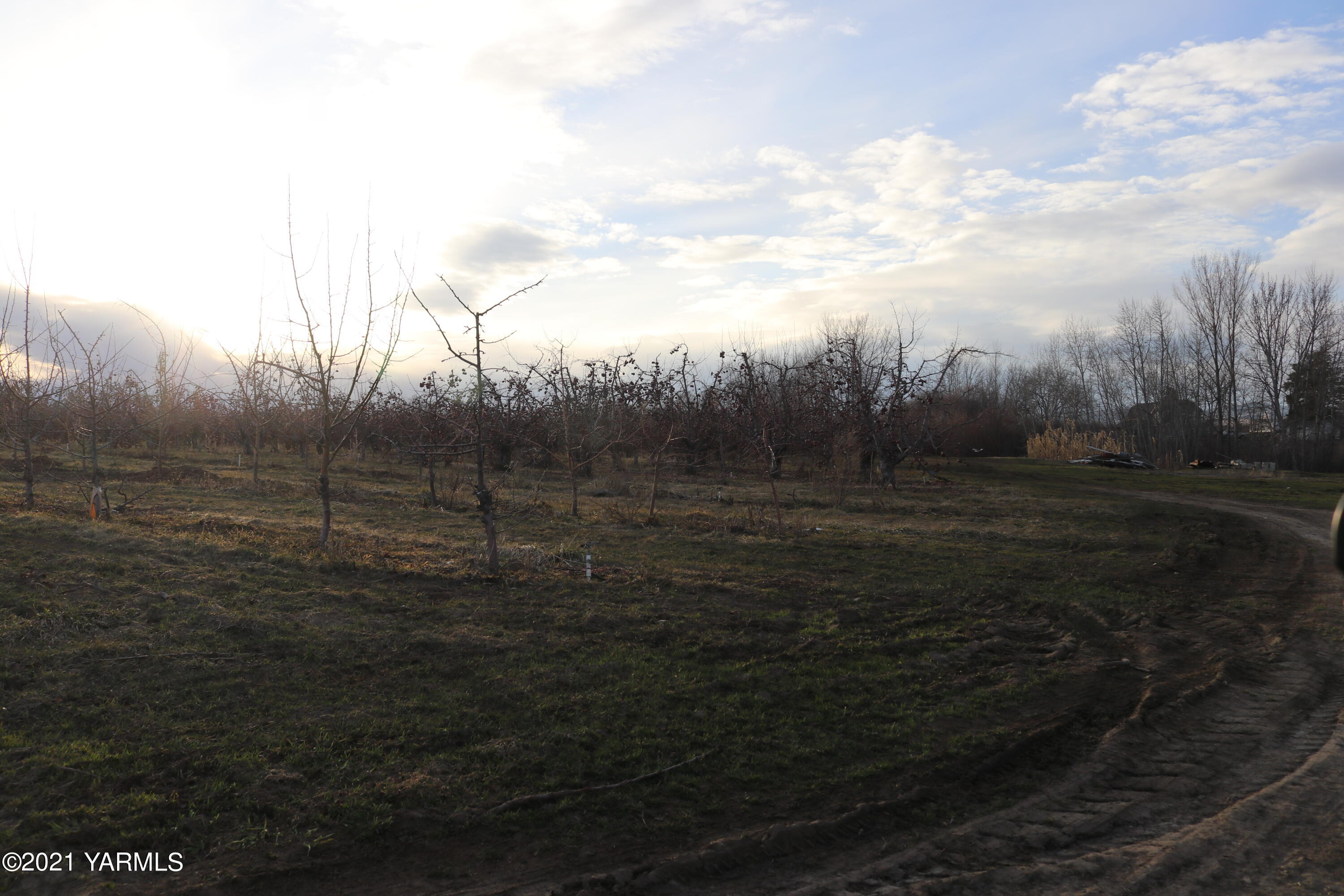 Nka Nka Nelson Road, Unit 1 Yakima, WA 98903 - Photo 1 of 36 a view of a yard