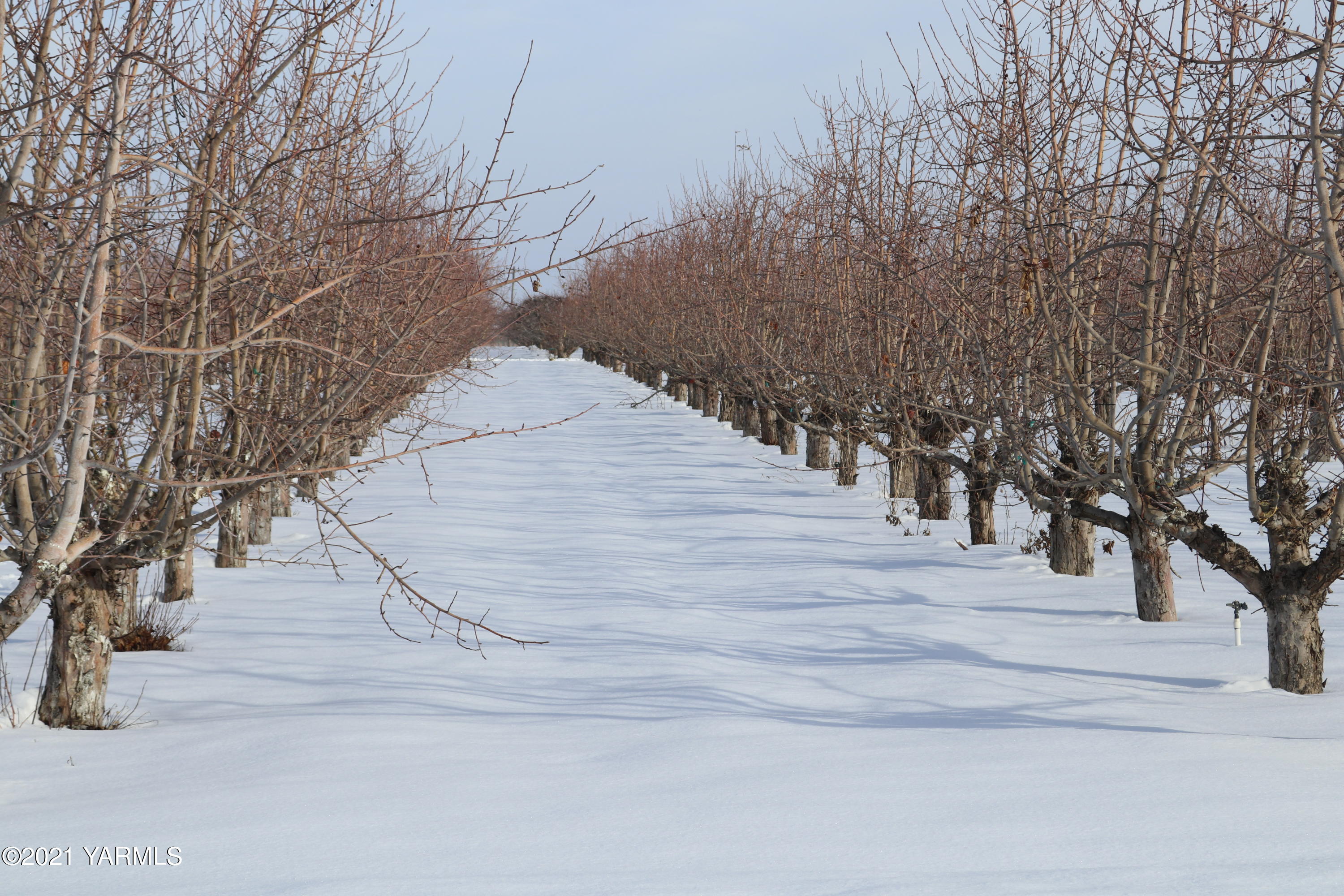 Nka Nka Nelson Road, Unit 1 Yakima, WA 98903 - Photo 11 of 36 a view of pathway along with road