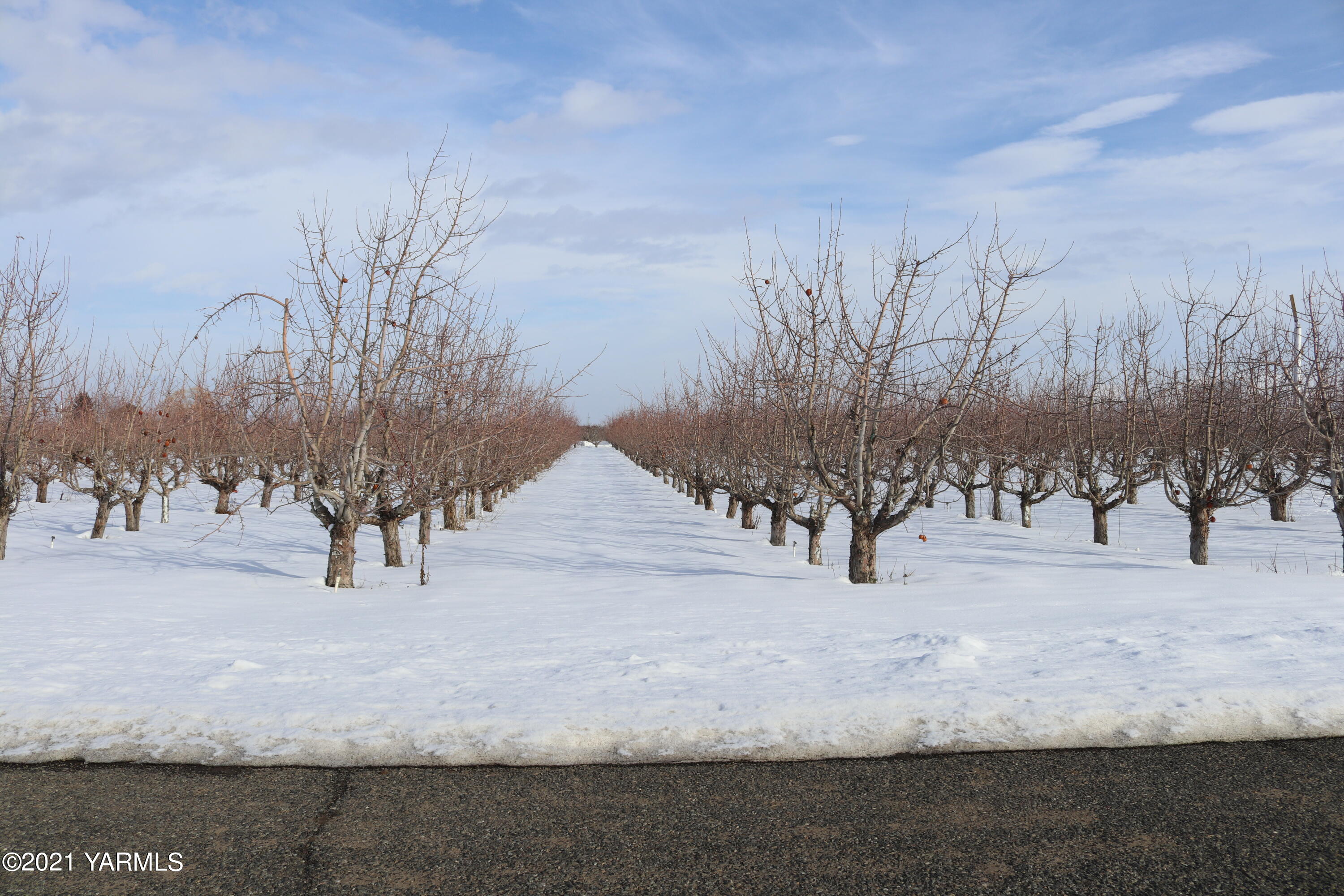 Nka Nka Nelson Road, Unit 1 Yakima, WA 98903 - Photo 12 of 36 a view of snow and trees in the background