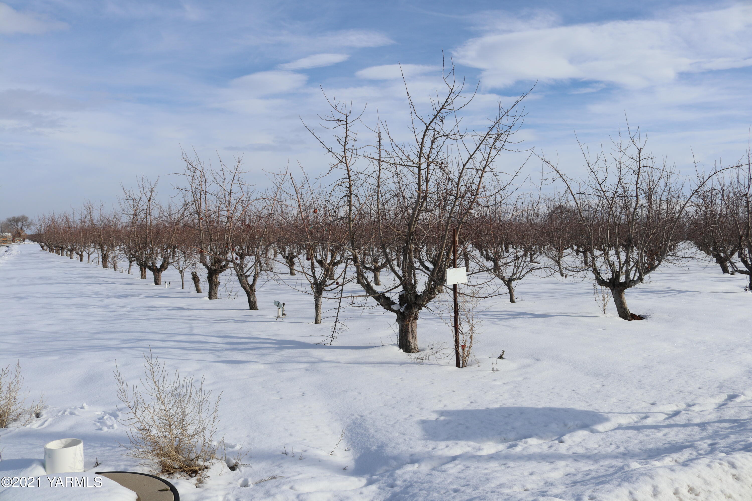 Nka Nka Nelson Road, Unit 1 Yakima, WA 98903 - Photo 13 of 36 a view of a yard with trees