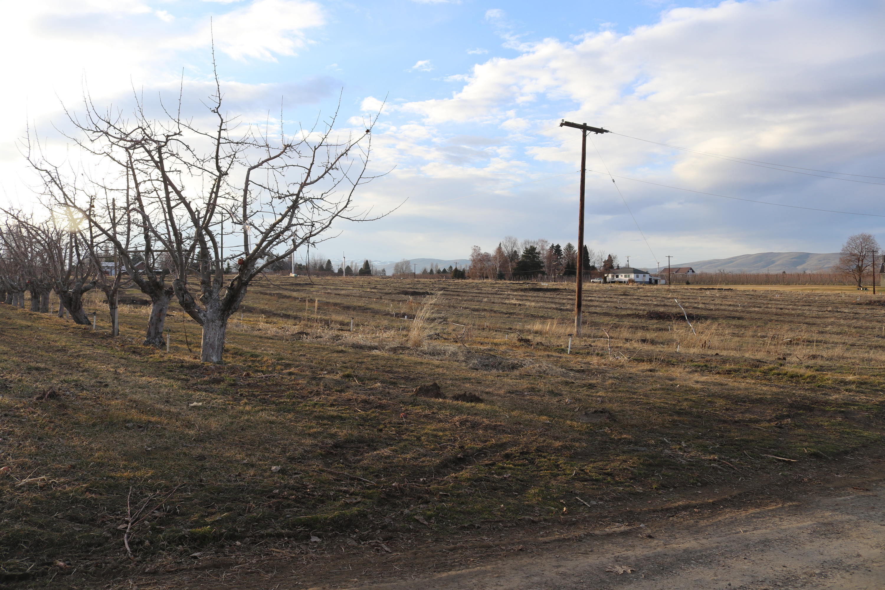 Nka Nka Nelson Road, Unit 1 Yakima, WA 98903 - Photo 31 of 36 a view of a lake with a tree