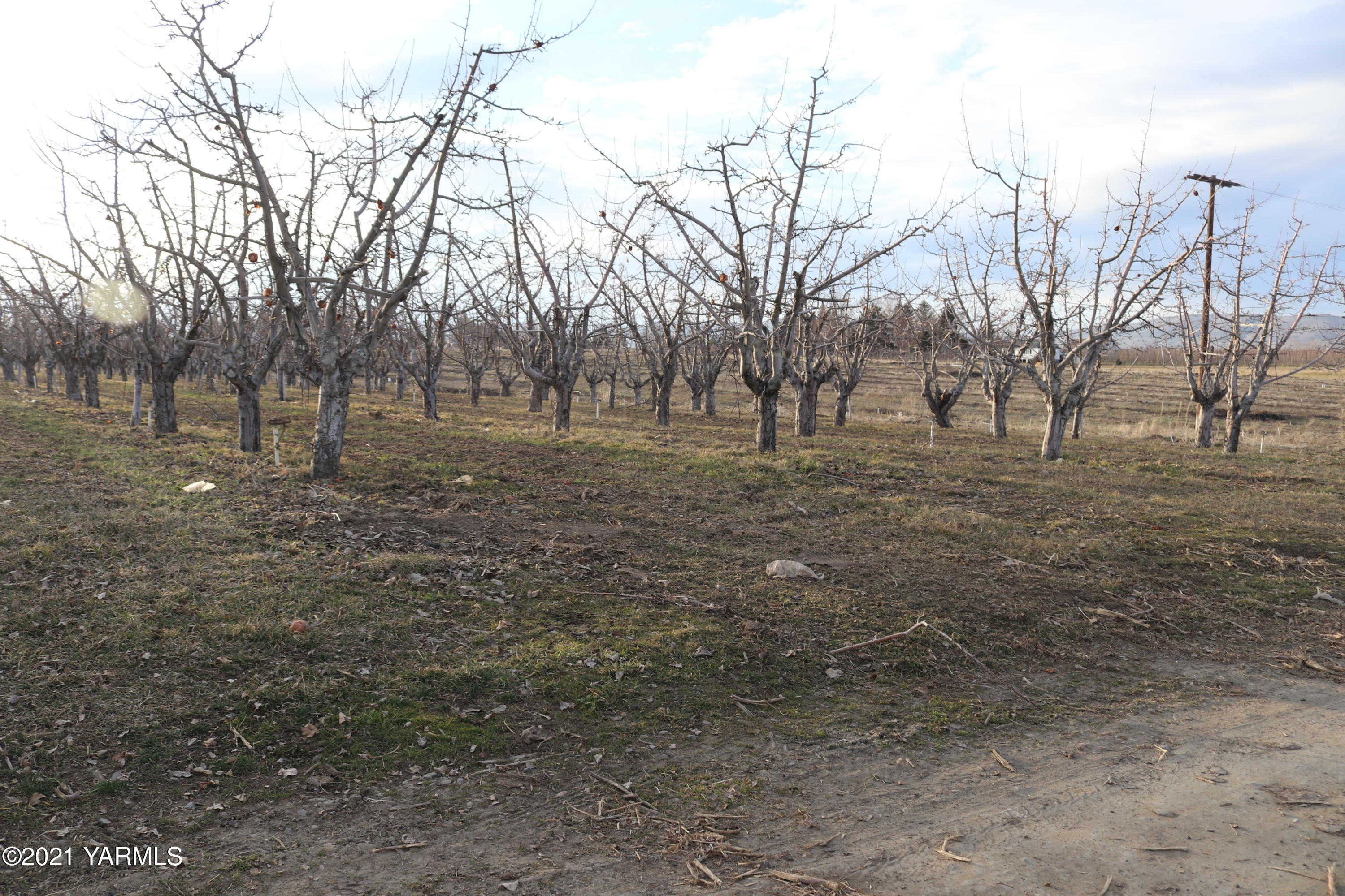 Nka Nka Nelson Road, Unit 1 Yakima, WA 98903 - Photo 35 of 36 a view of yard with trees