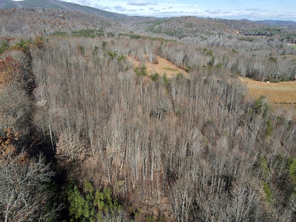 Old Mill Road Patrick Springs, VA 24133 - Photo 20 of 49 Gallery Image 20