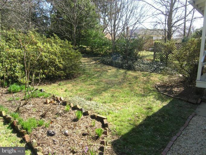 2030 Glen Ross Road Silver Spring, MD 20910 - Photo 22 of 23 a view of a yard with plants and large trees