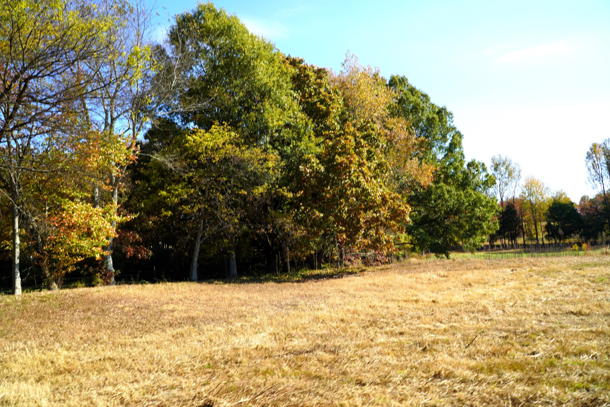 0 Smith Mill Road Fayetteville, TN 37334 - Photo 29 of 39 Gallery Image 29