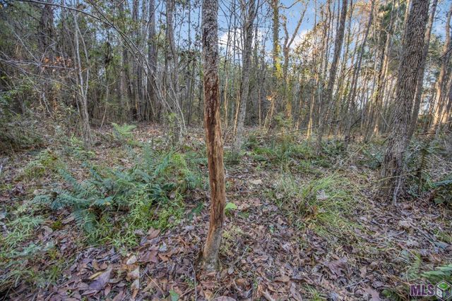 $949,900 | 967 St Francisville La, St. Francisville, LA 70775