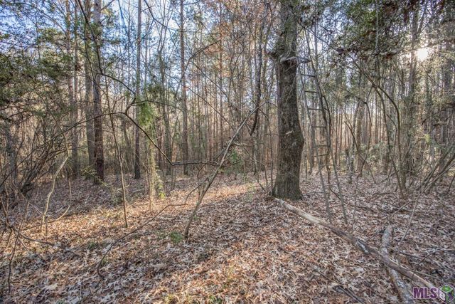 $949,900 | 967 St Francisville La, St. Francisville, LA 70775