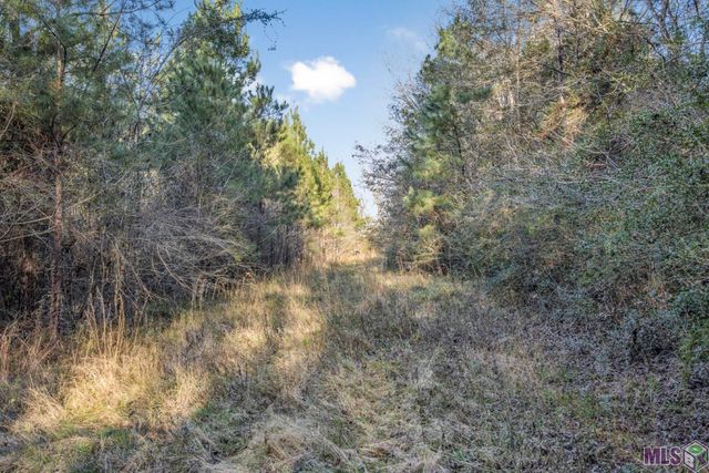 $949,900 | 967 St Francisville La, St. Francisville, LA 70775