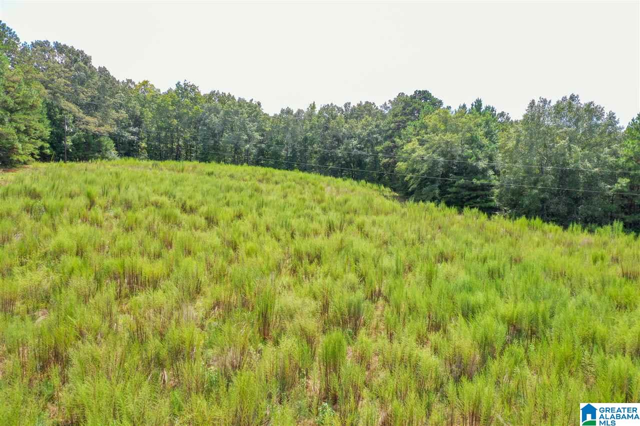378 Old Mill Road Blountsville, AL 35031 - Photo 7 of 10