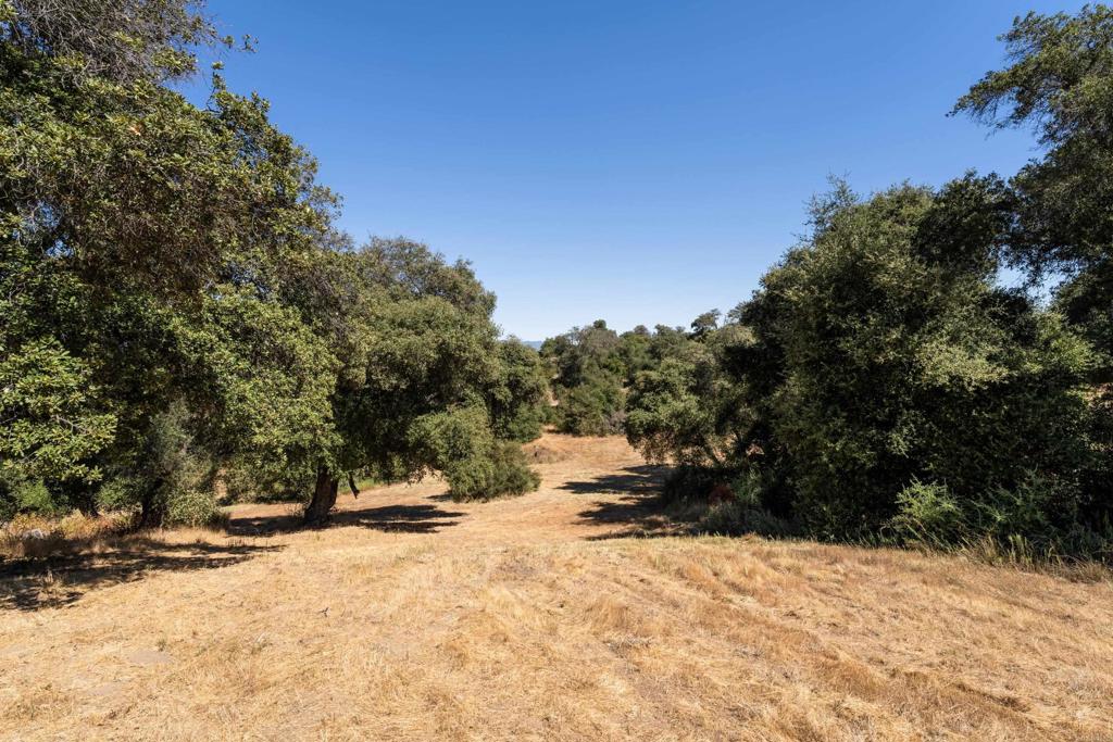 25770 East Grade Road Santa Ysabel, CA 92070 - Photo 50 of 75