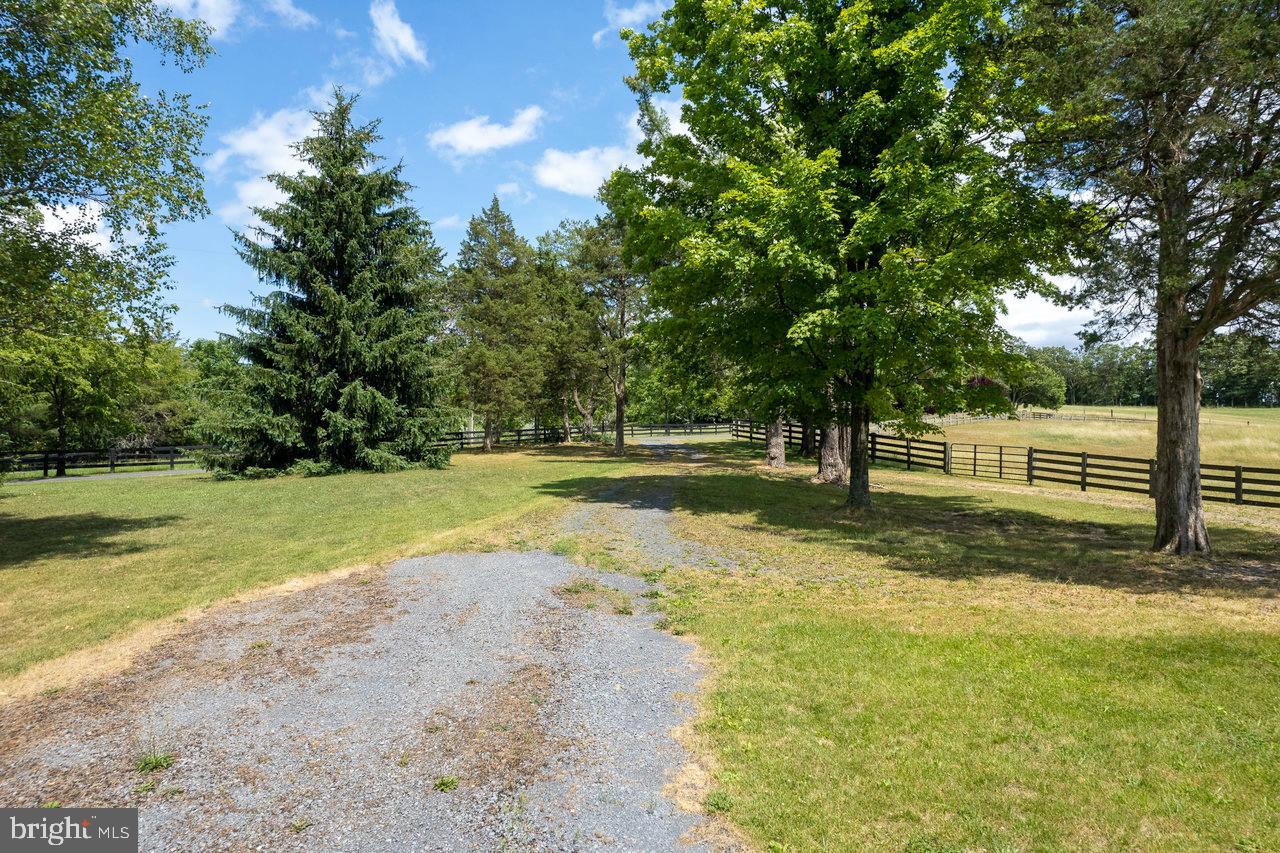 1693 Kelly Road Mount Jackson, VA 22842 - Photo 35 of 39