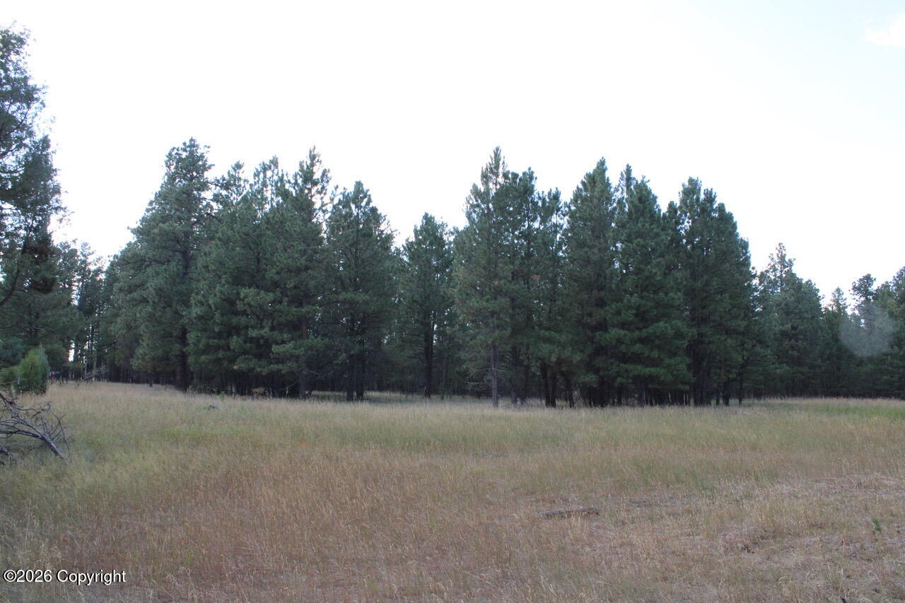 Lot 11 Bruin Road Alzada, MT 59311 - Photo 40 of 51 Gallery Image 40